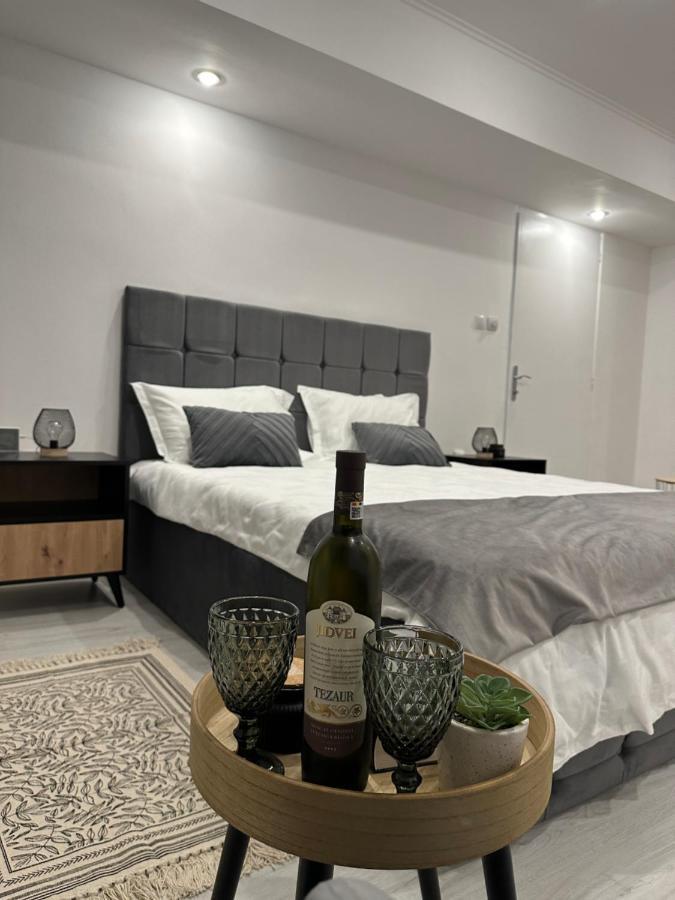 Saguna Residence2 シギショアラ エクステリア 写真