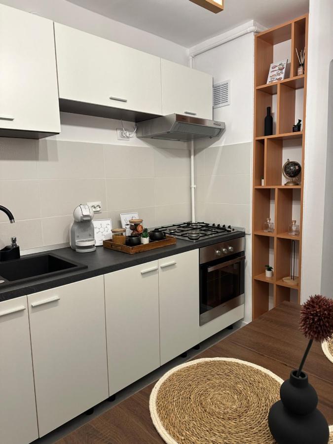 Saguna Residence2 シギショアラ エクステリア 写真